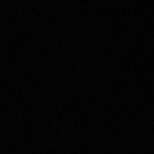 Meet your Posher, Bud