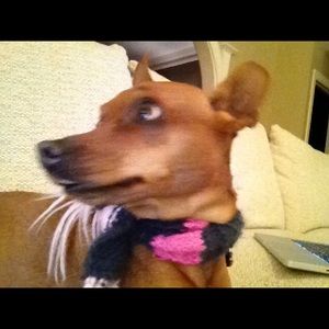 Meet your Posher, Angie