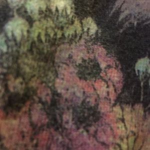 Meet your Posher, Grecia