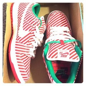 Nike sb low dunk pro