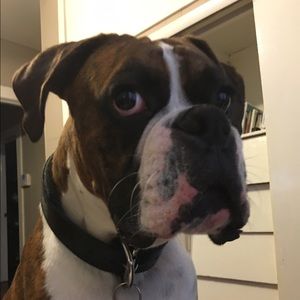 Meet your Posher, Renee