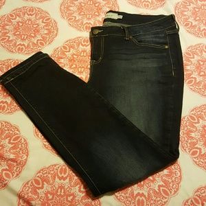 Torrid Skinny Jeans