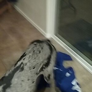 Meet your Posher, Ana