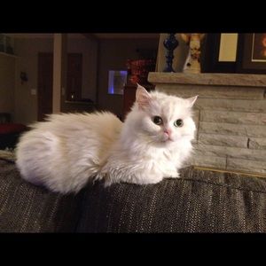 Meet your Posher, Lynne