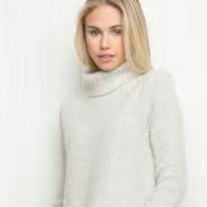 Brandy Melville turtle neck sweater