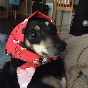 Meet your Posher, Lea