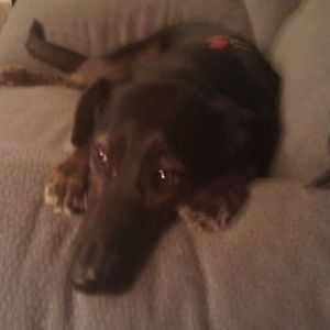 Meet your Posher, Linda