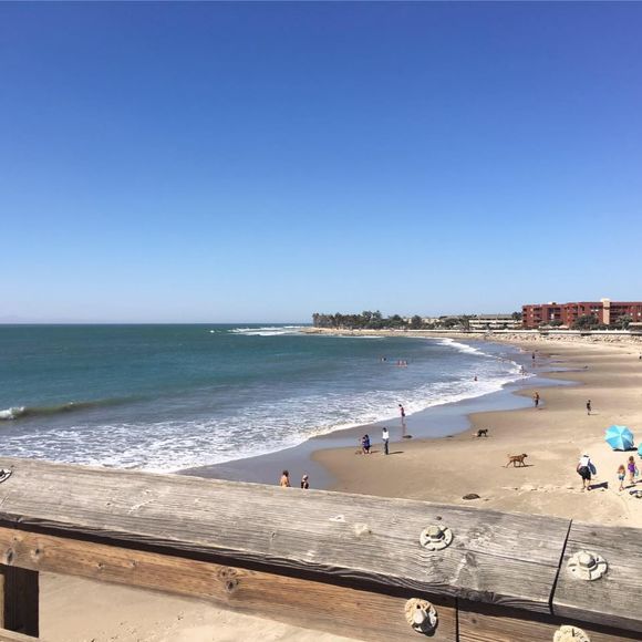 Meet your Posher, Yvonne