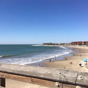 Meet your Posher, Yvonne