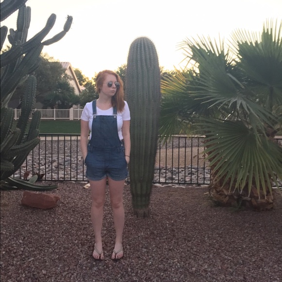 Madewell Denim Overall Shorts