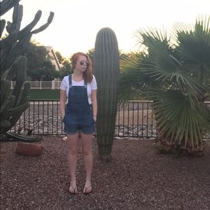 Madewell Denim Overall Shorts