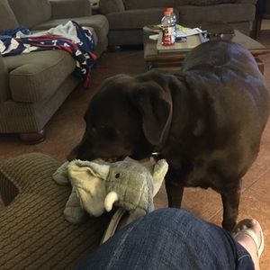 Meet your Posher, Sharon