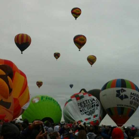 Meet your Posher, Ellen - Picture 2 of 2