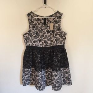 ModCloth Doe & Rae floral dress