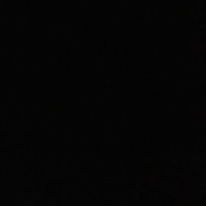 Meet your Posher, Tyra