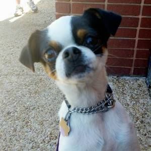 Meet your Posher, Tina