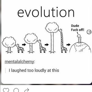 Meet your Posher, Jada