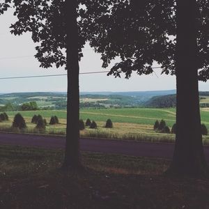 Meet your Posher, Rob