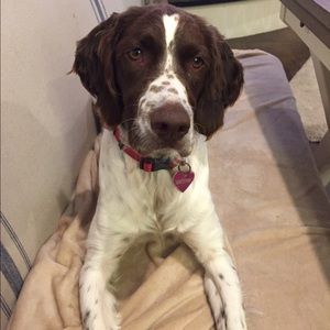 Meet your Posher, Kelly