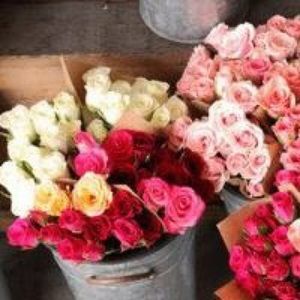 Meet your Posher, Neveen