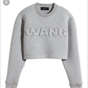 ALEXANDER WANG X H&M crop sweater
