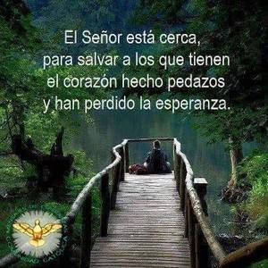 Meet your Posher, Cornelio