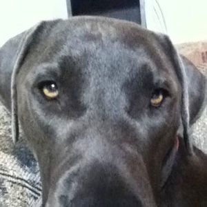 Meet your Posher, Kaleb