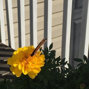 Meet your Posher, Mrs