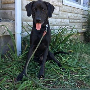 Meet your Posher, Brianna