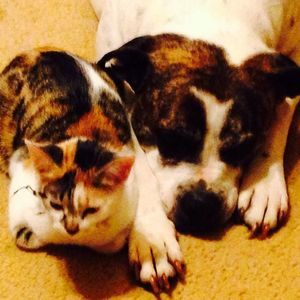 Meet your Posher, Christy