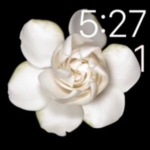 Meet your Posher, Shaquiana