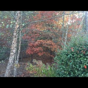 Meet your Posher, Rhonda