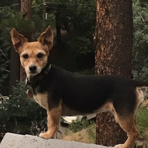 Meet your Posher, Kendall