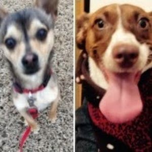 Meet your Posher, Iryn