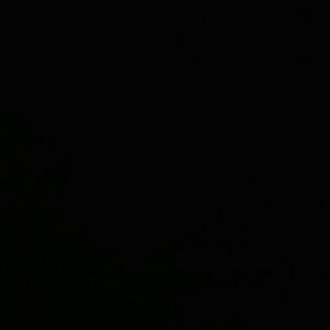 Meet your Posher, Ebony