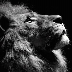 Meet your Posher, Martha ann