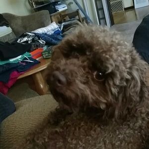 Meet your Posher, Jan