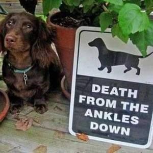 Meet your Posher, Suezanne