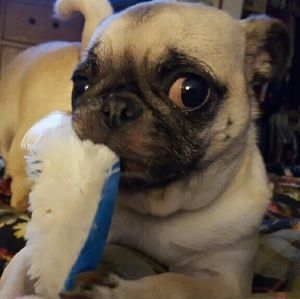 Meet your Posher, Karen