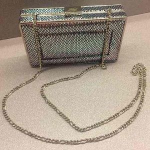 Women's Silver Chain Purse