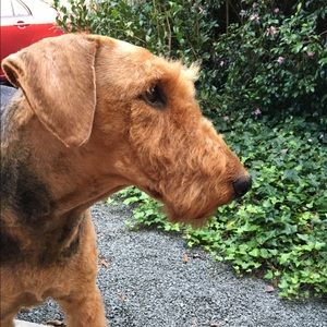 Meet your Posher, David