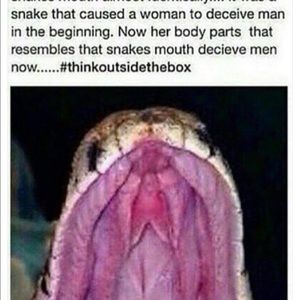 Meet your Posher, Rodney