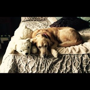 Meet your Posher, Garrett