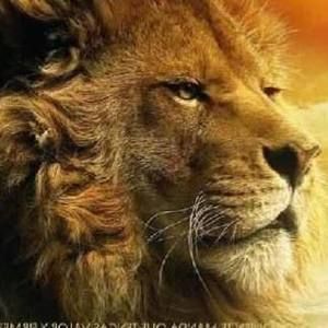 Meet your Posher, Ariel