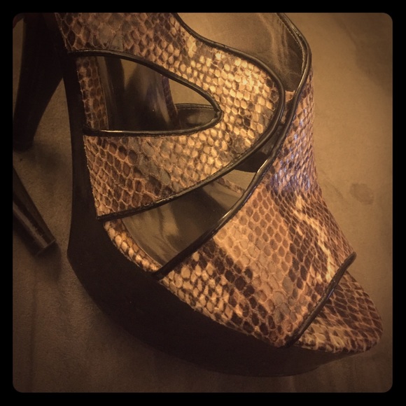 Carlos Santana platforms