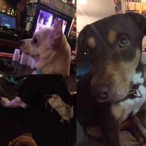 Meet your Posher, Leah