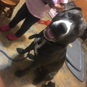 Meet your Posher, Jocelyn