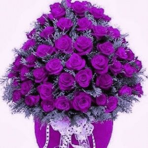 Meet your Posher, Ruby