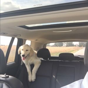 Meet your Posher, John