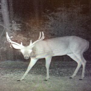 Meet your Posher, Zack